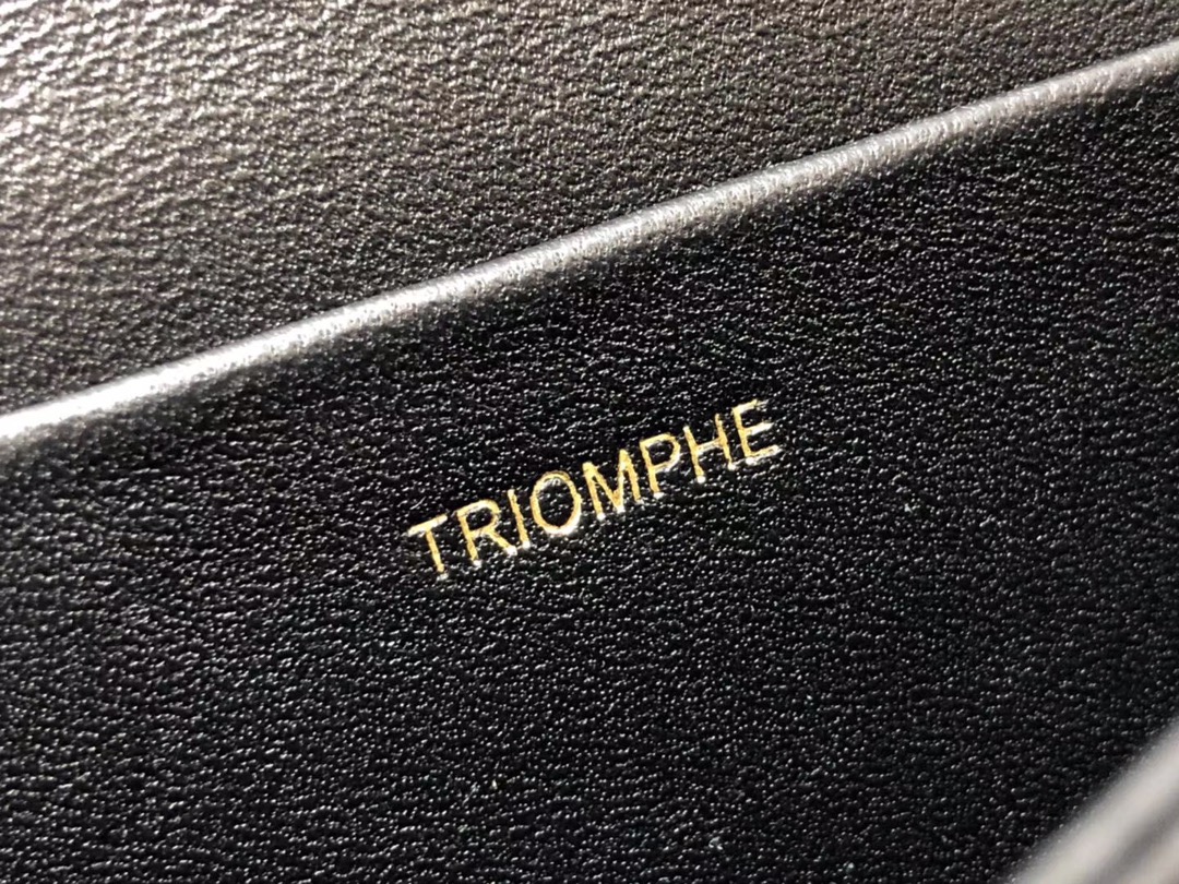 Triomphe 188423 22x16.5x7cm ss 10(7)_